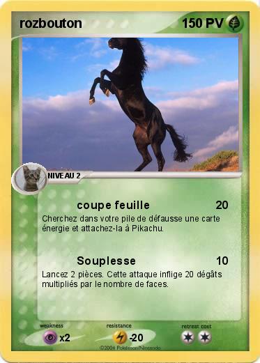 Pokemon rozbouton