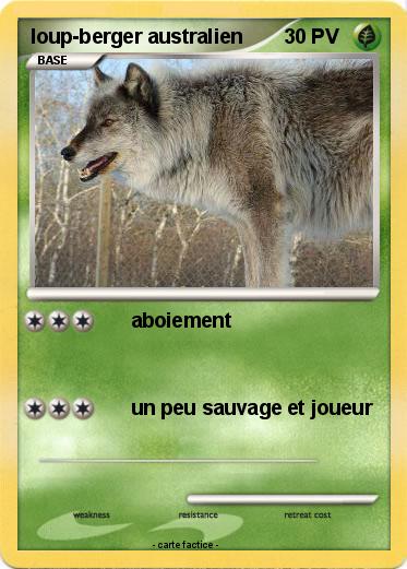 Pokemon loup-berger australien