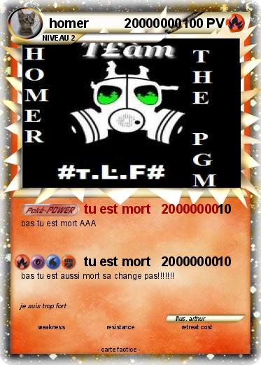Pokemon homer          20000000
