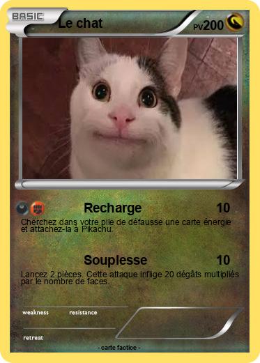 Pokemon Le chat