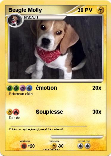 Pokemon Beagle Molly