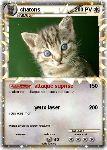 Pokemon chatons