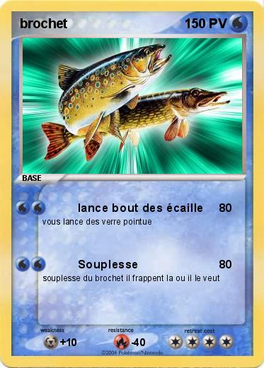 Pokemon brochet