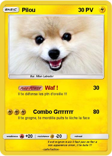 Pokemon Pilou