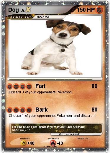Pokemon Dog