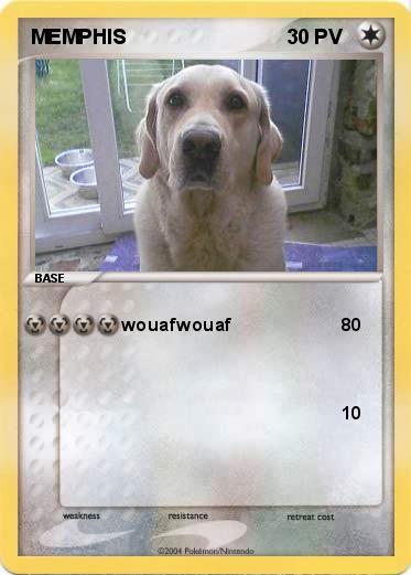 Pokemon MEMPHIS