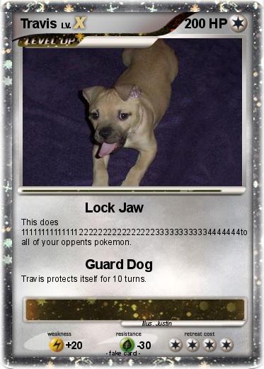 Pokemon Travis