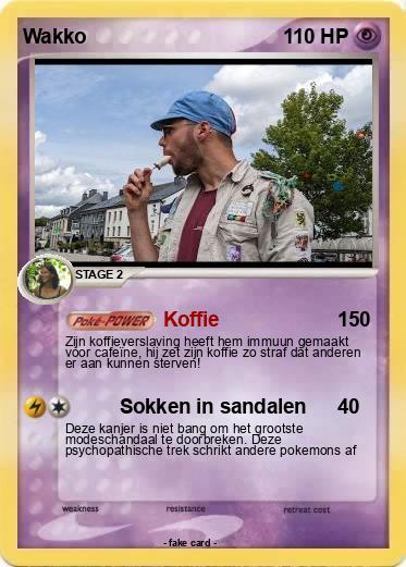 Pokemon Wakko