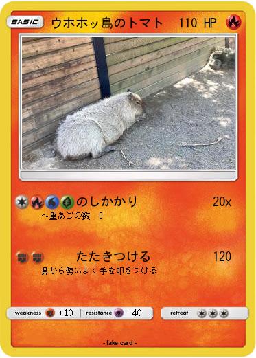 Pokemon ウホホッ島のトマト