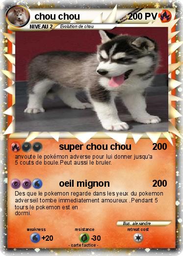 Pokemon chou chou