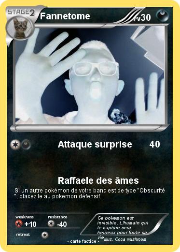 Pokemon Fannetome