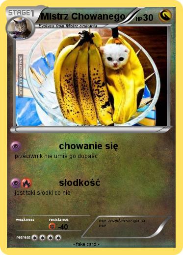 Pokemon Mistrz Chowanego