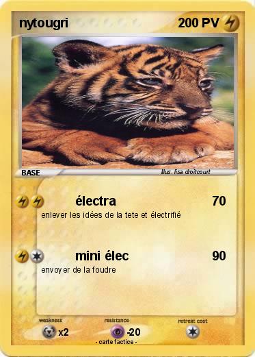 Pokemon nytougri