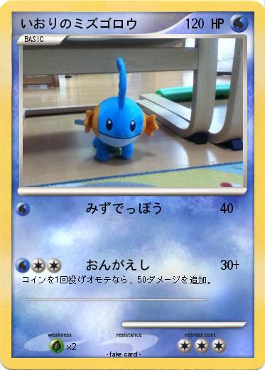 Pokemon いおりのミズゴロウ