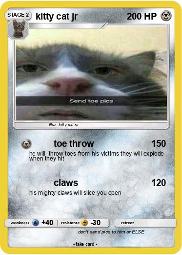 Pokemon kitty cat jr