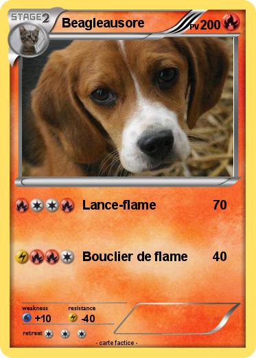 Pokemon Beagleausore