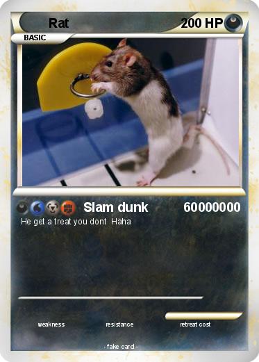 Pokemon Rat