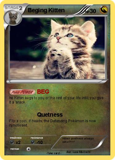 Pokemon Beging Kitten