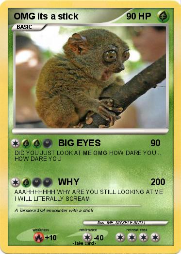 Pokemon OMG its a stick