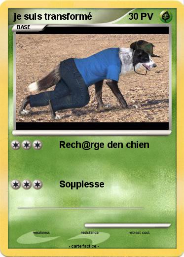 Pokemon je suis transformé