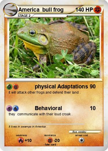 Pokemon America  bull frog