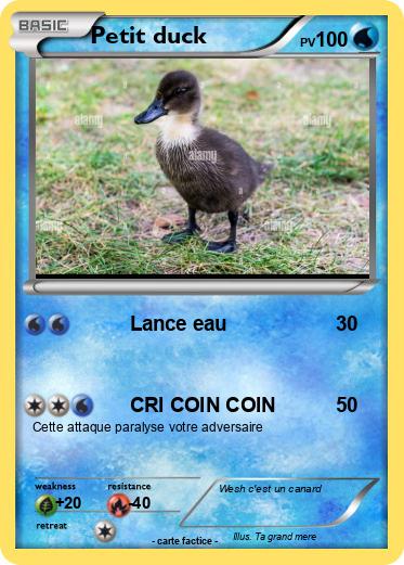 Pokemon Petit duck
