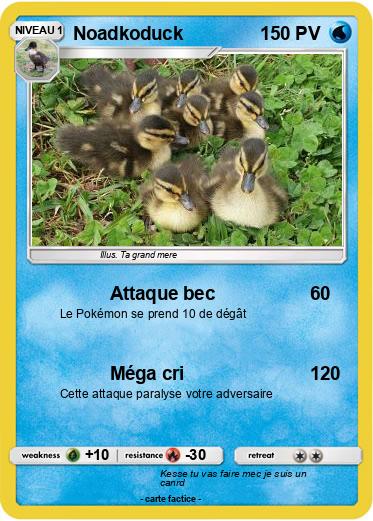 Pokemon Noadkoduck