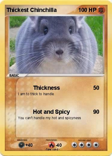 Pokemon Thickest Chinchilla
