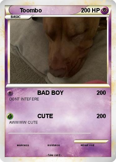 Pokemon Toombo