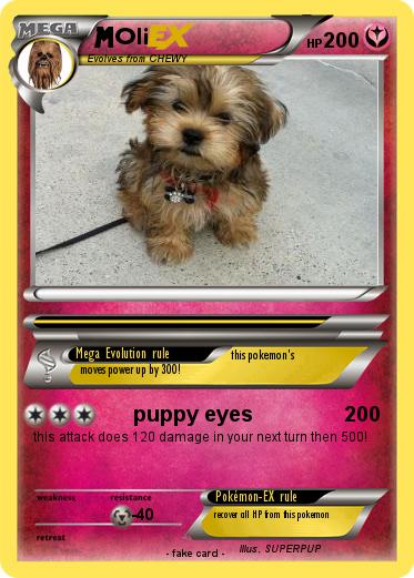 Pokemon Oli