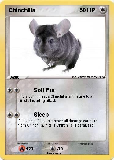 Pokemon Chinchilla
