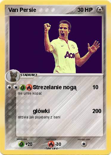 Pokemon Van Persie