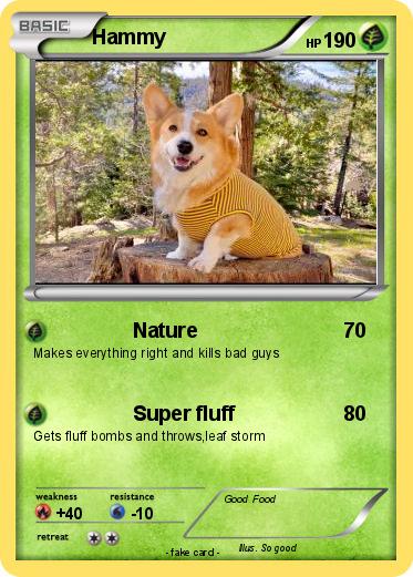 Pokemon Hammy