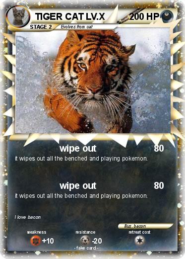 Pokemon TIGER CAT LV.X