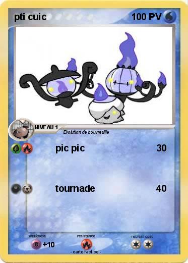 Pokemon pti cuic