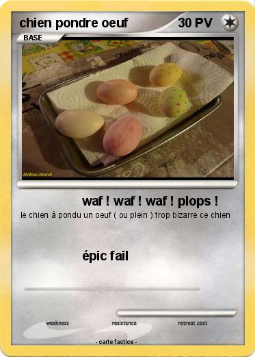 Pokemon chien pondre oeuf