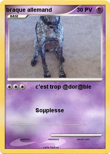 Pokemon braque allemand