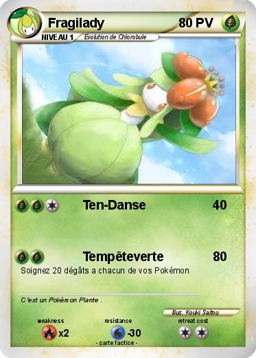 Pokemon Fragilady