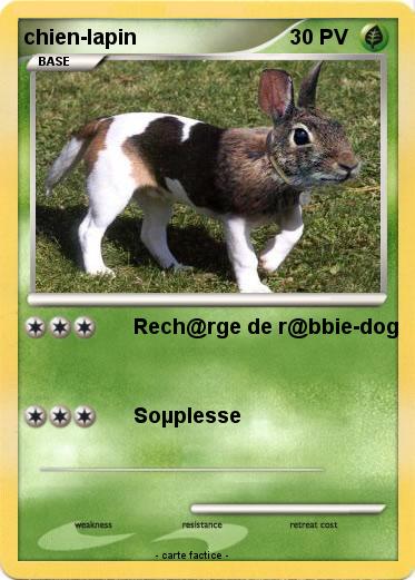 Pokemon chien-lapin