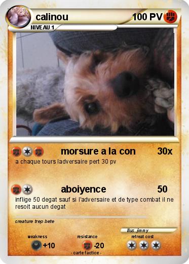 Pokemon calinou