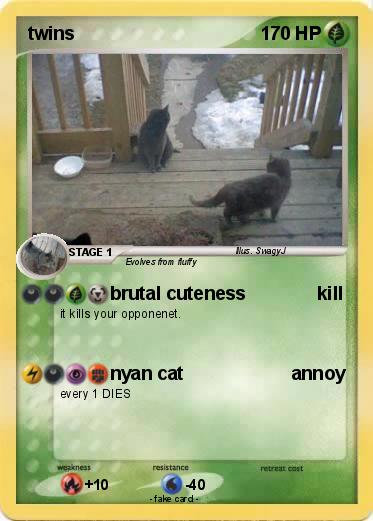 Pokemon twins