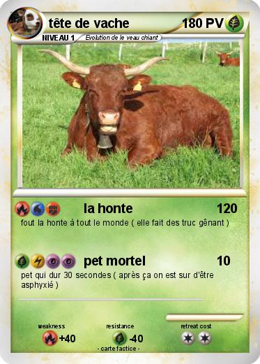 Pokemon tête de vache