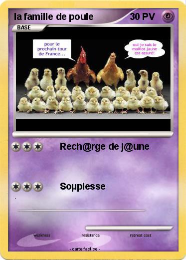 Pokemon la famille de poule