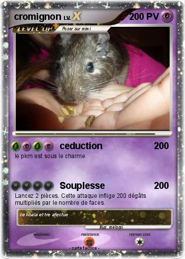 Pokemon cromignon