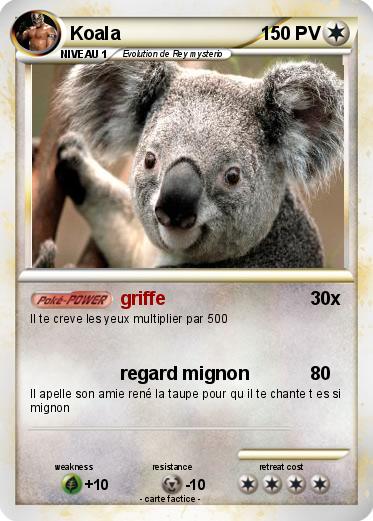 Pokemon Koala