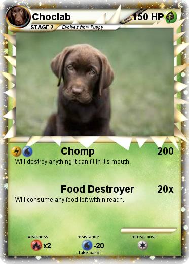 Pokemon Choclab