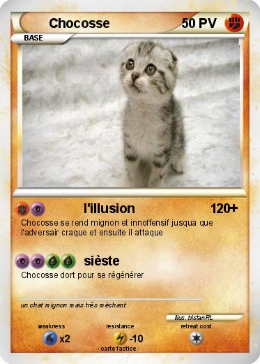 Pokemon Chocosse