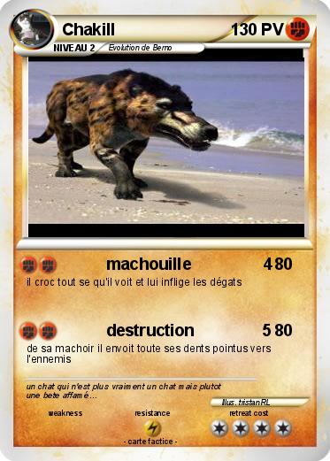 Pokemon Chakill