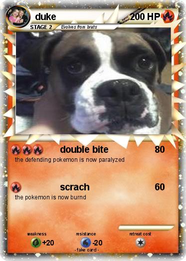 Pokemon duke