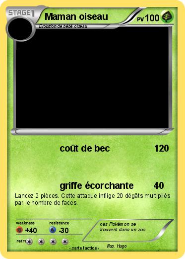 Pokemon Maman oiseau